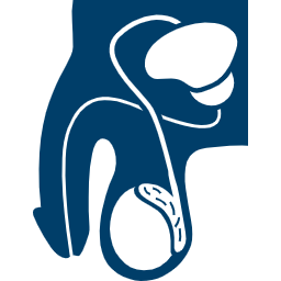 Tratamientos efectivos y modernos