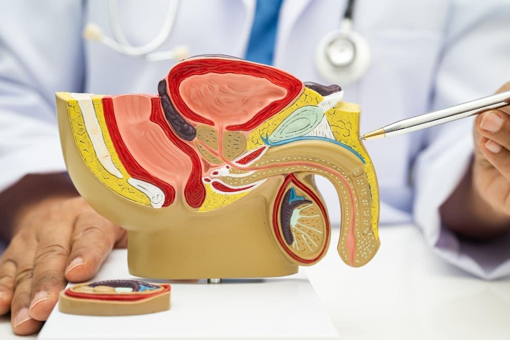 Tratamiento de crecimiento prostático y enfermedades de la próstata en Jalisco: Atención urológica especializada para la salud masculina